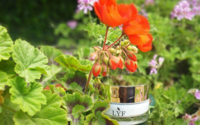 Welcome to LYF Cosmetics new blog!